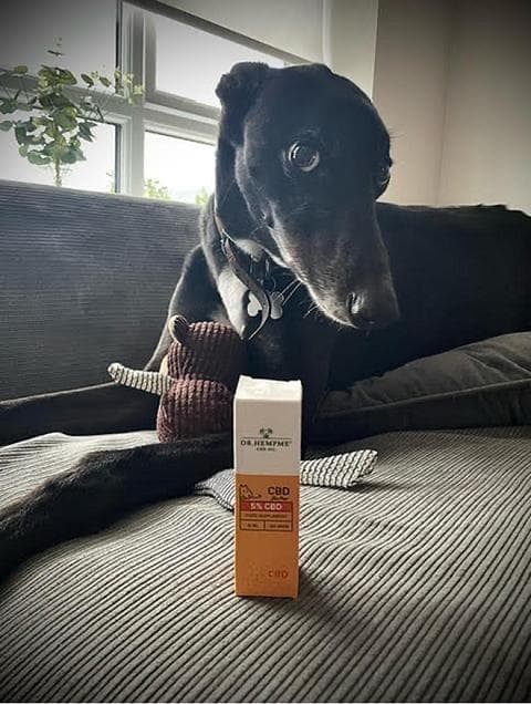 Noah, Dr. Hemp Me customer