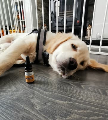 Charlie, Dr. Hemp Me customer