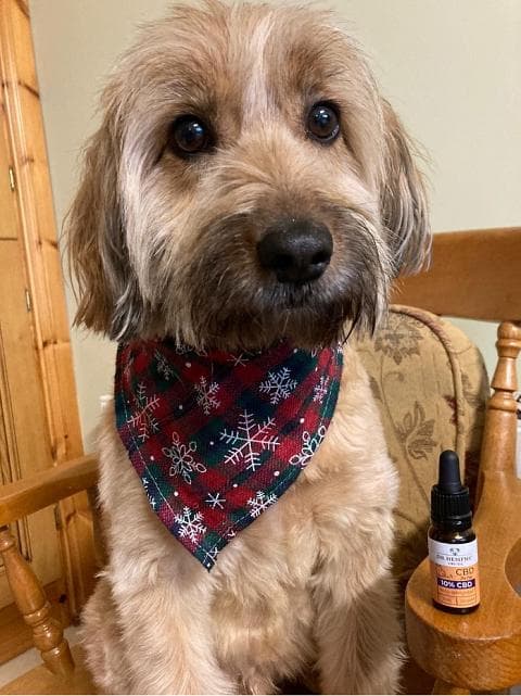 Bruce, Dr. Hemp Me customer