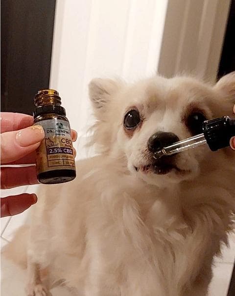 Sofia, Dr. Hemp Me customer
