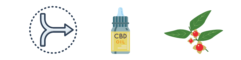 l theanine for sleep versus CBD Oil