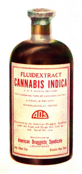 Period trade illustration of an American Druggists Syndicate bottle of Fluid Extract Cannabis Indica, around 1912